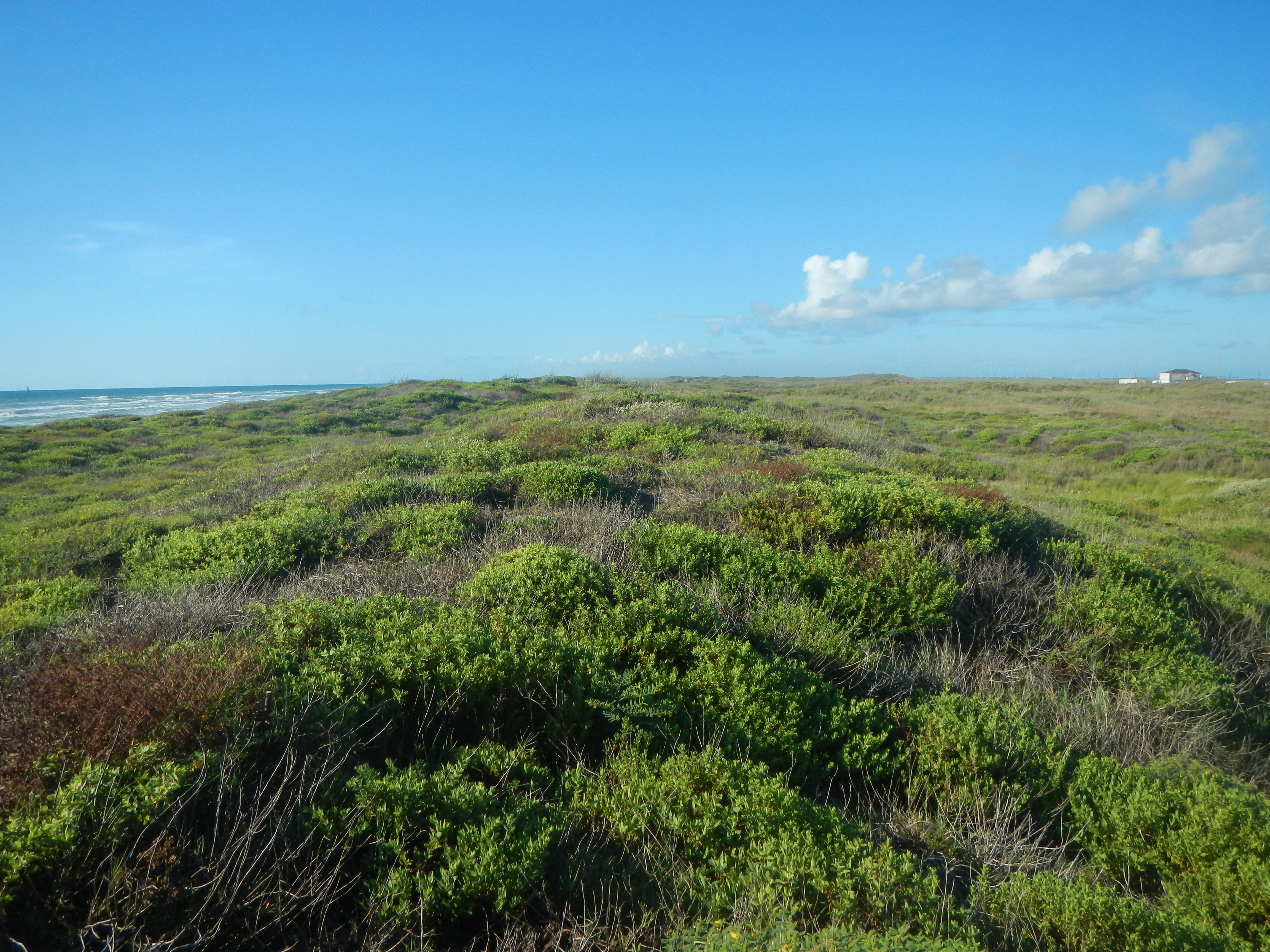 Texas coastline