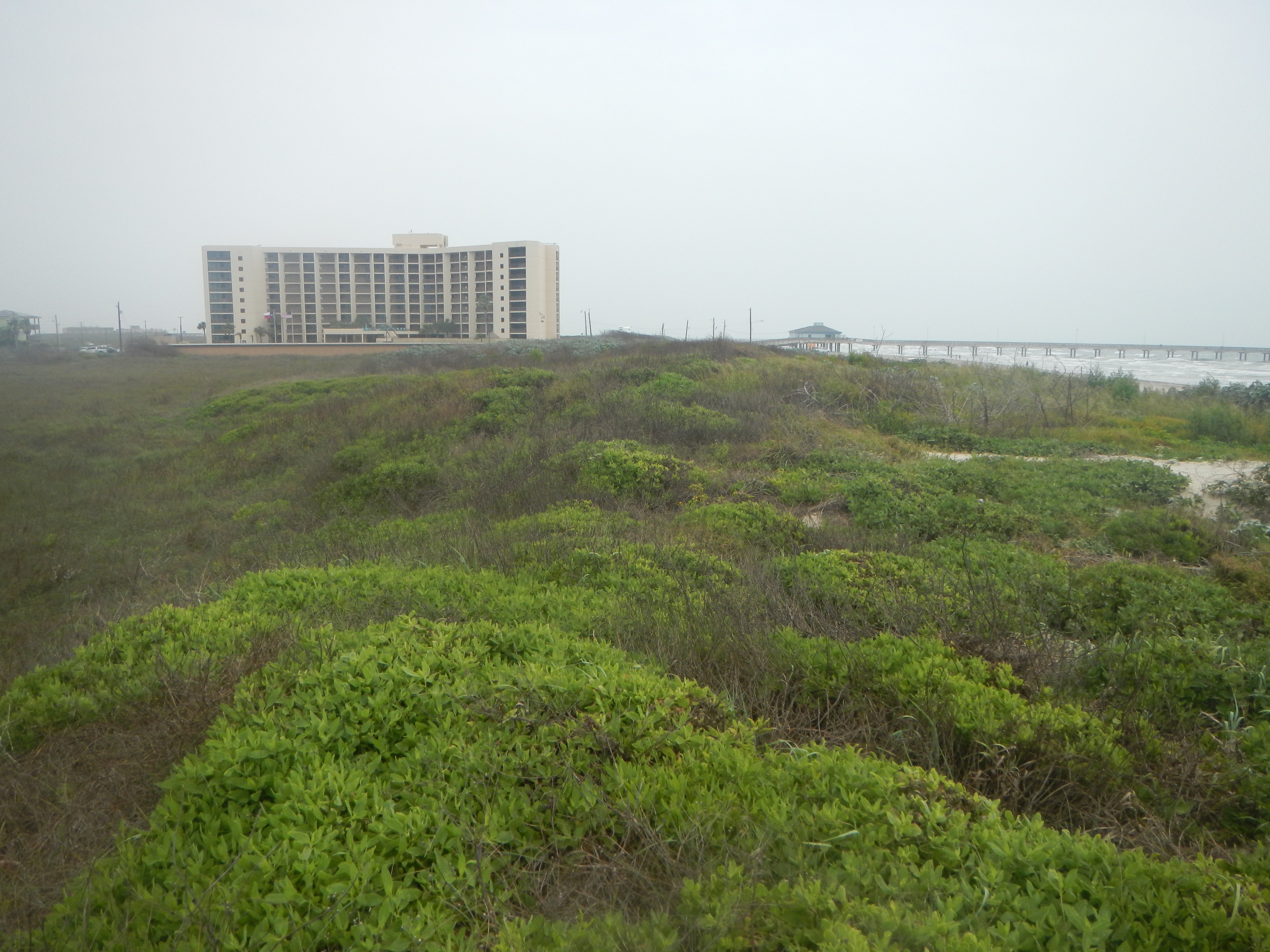 Texas coastline