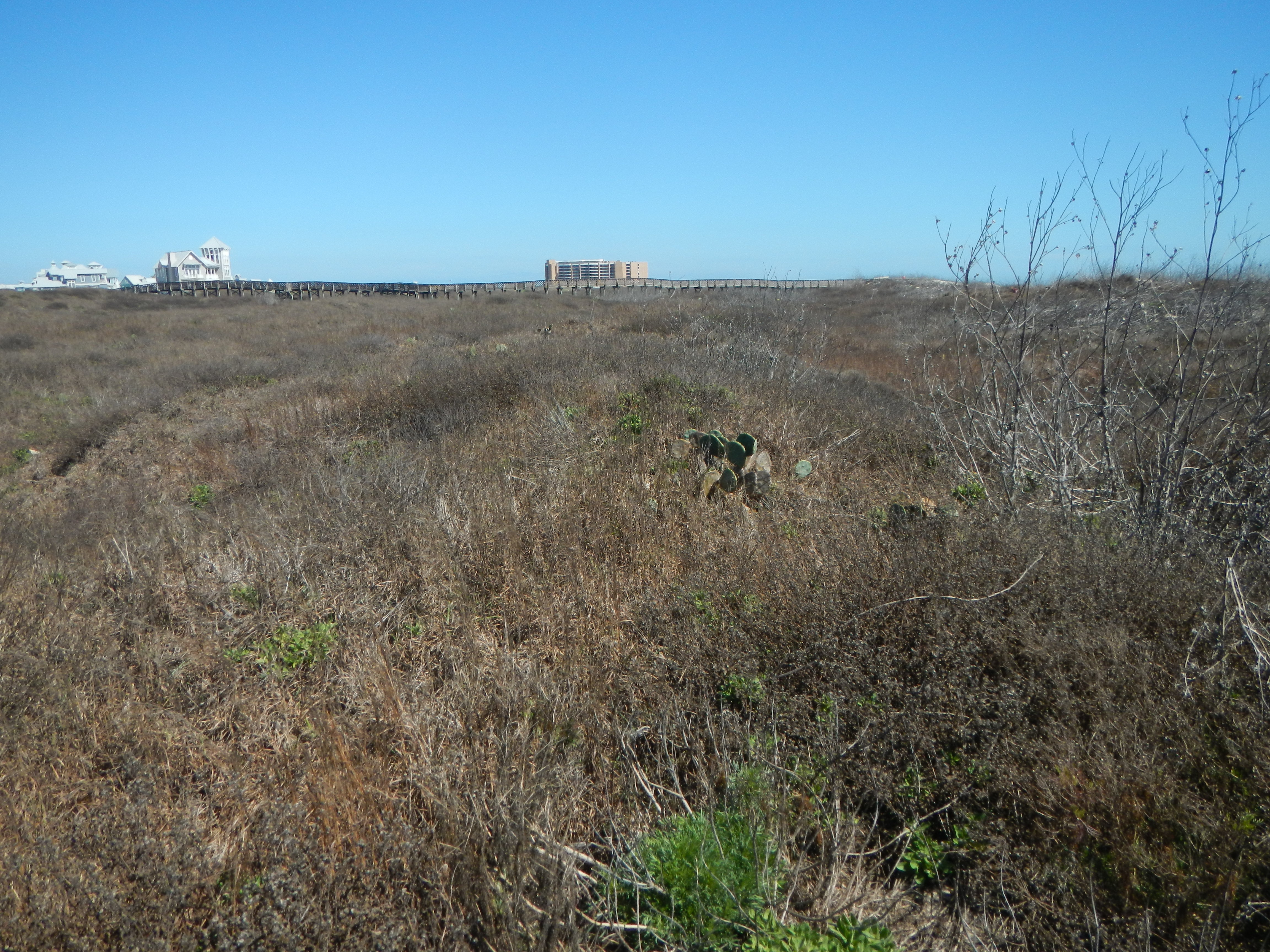Texas coastline