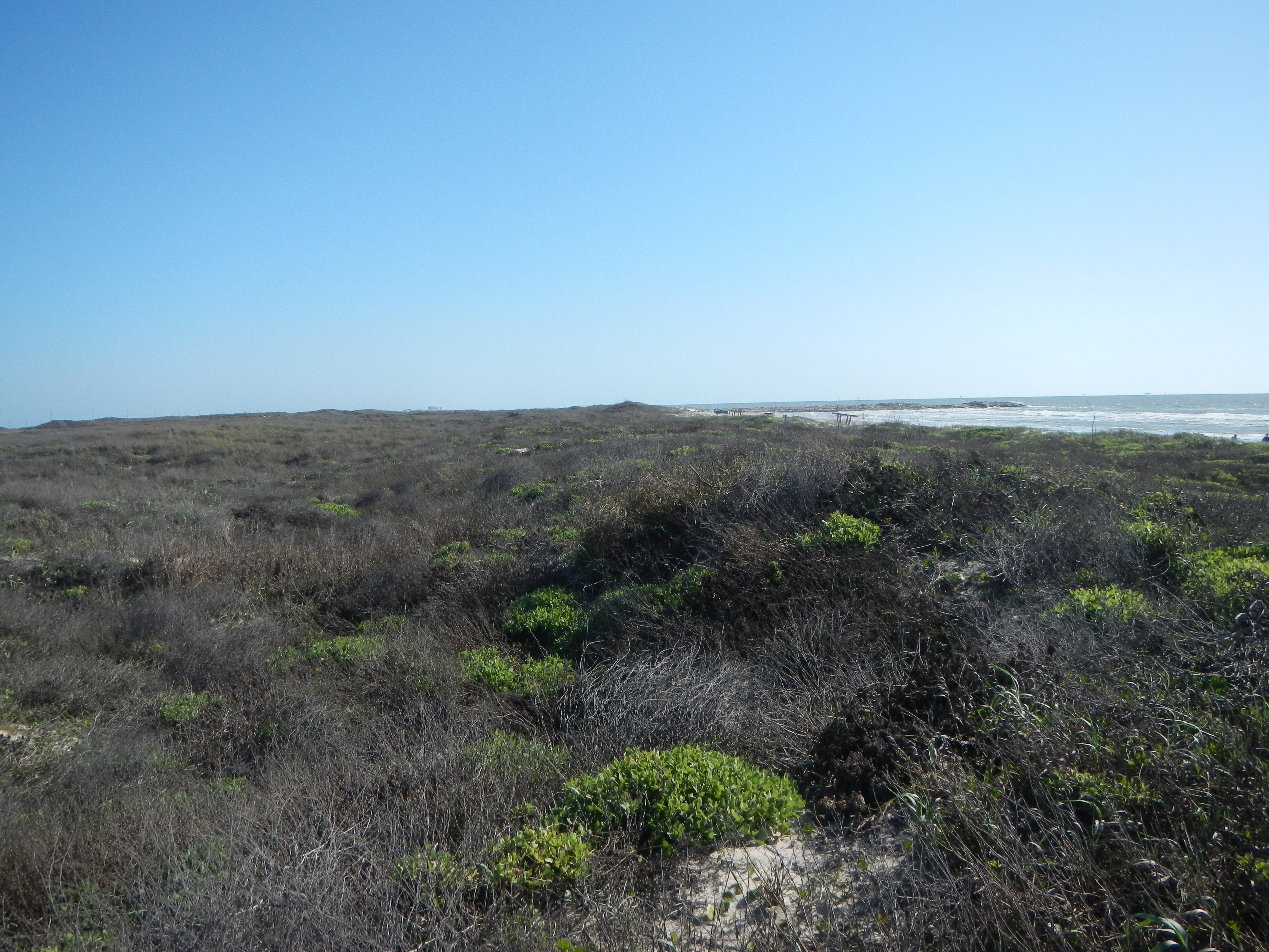 Texas coastline