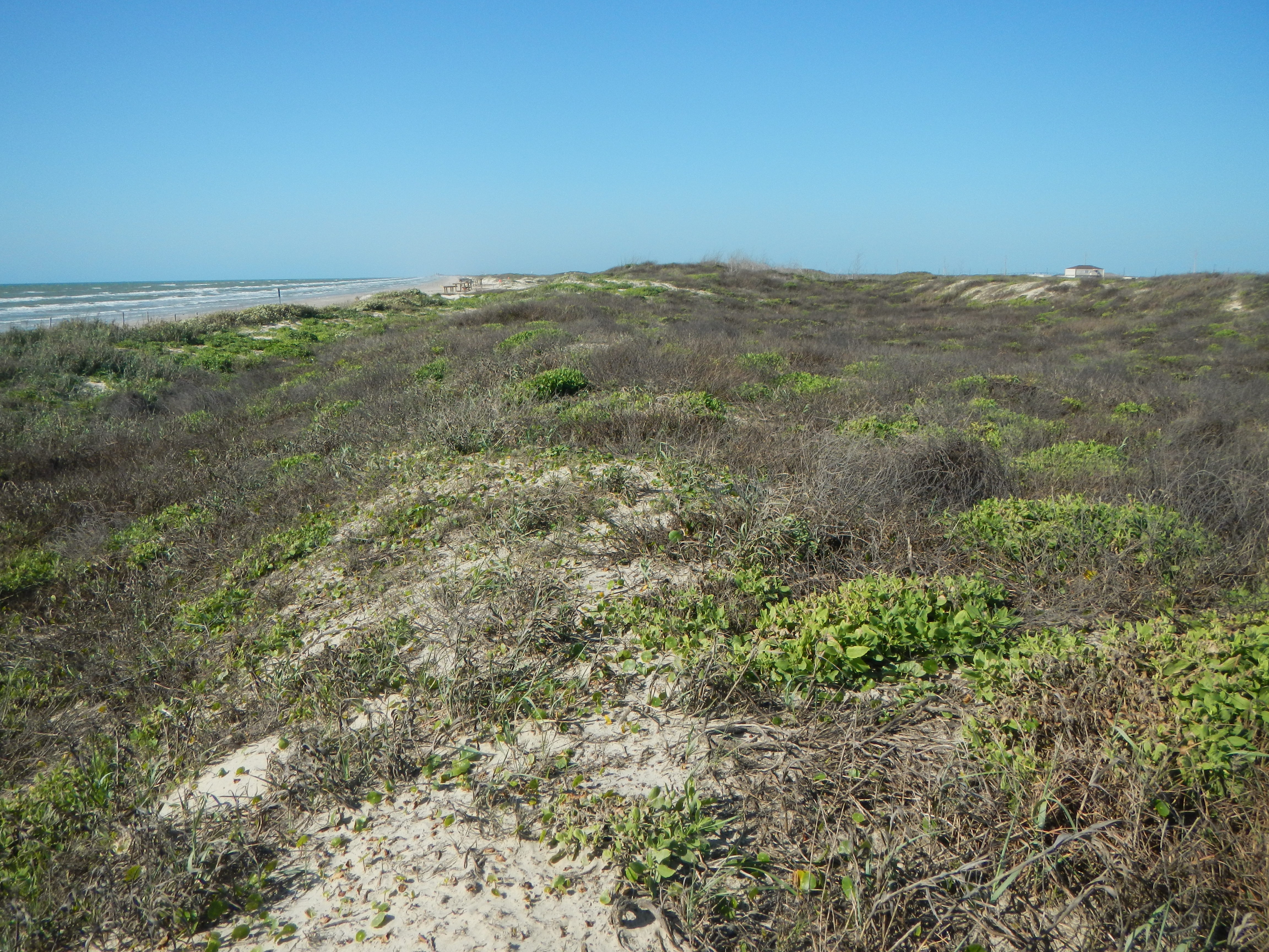 Texas coastline