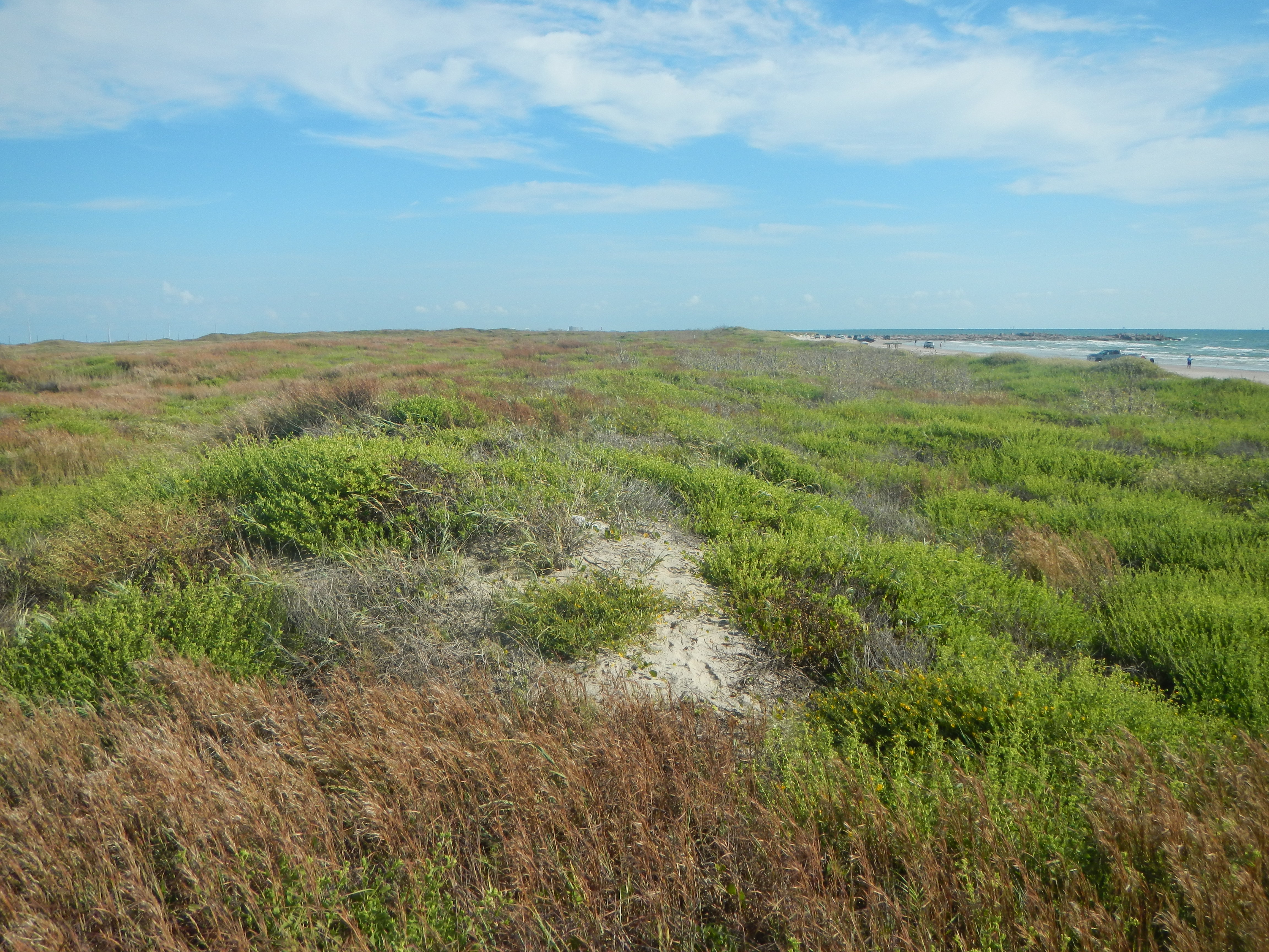 Texas coastline