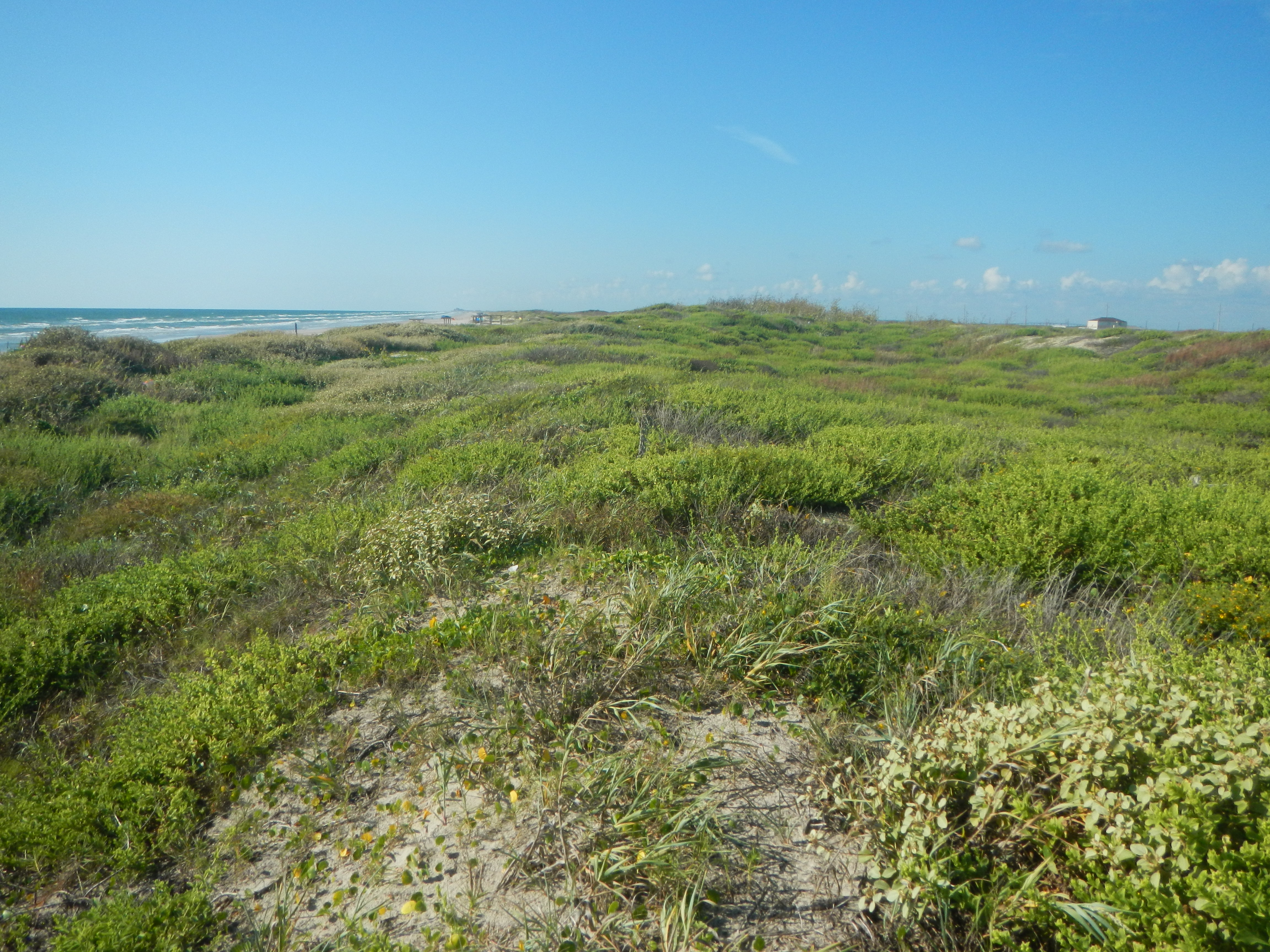 Texas coastline