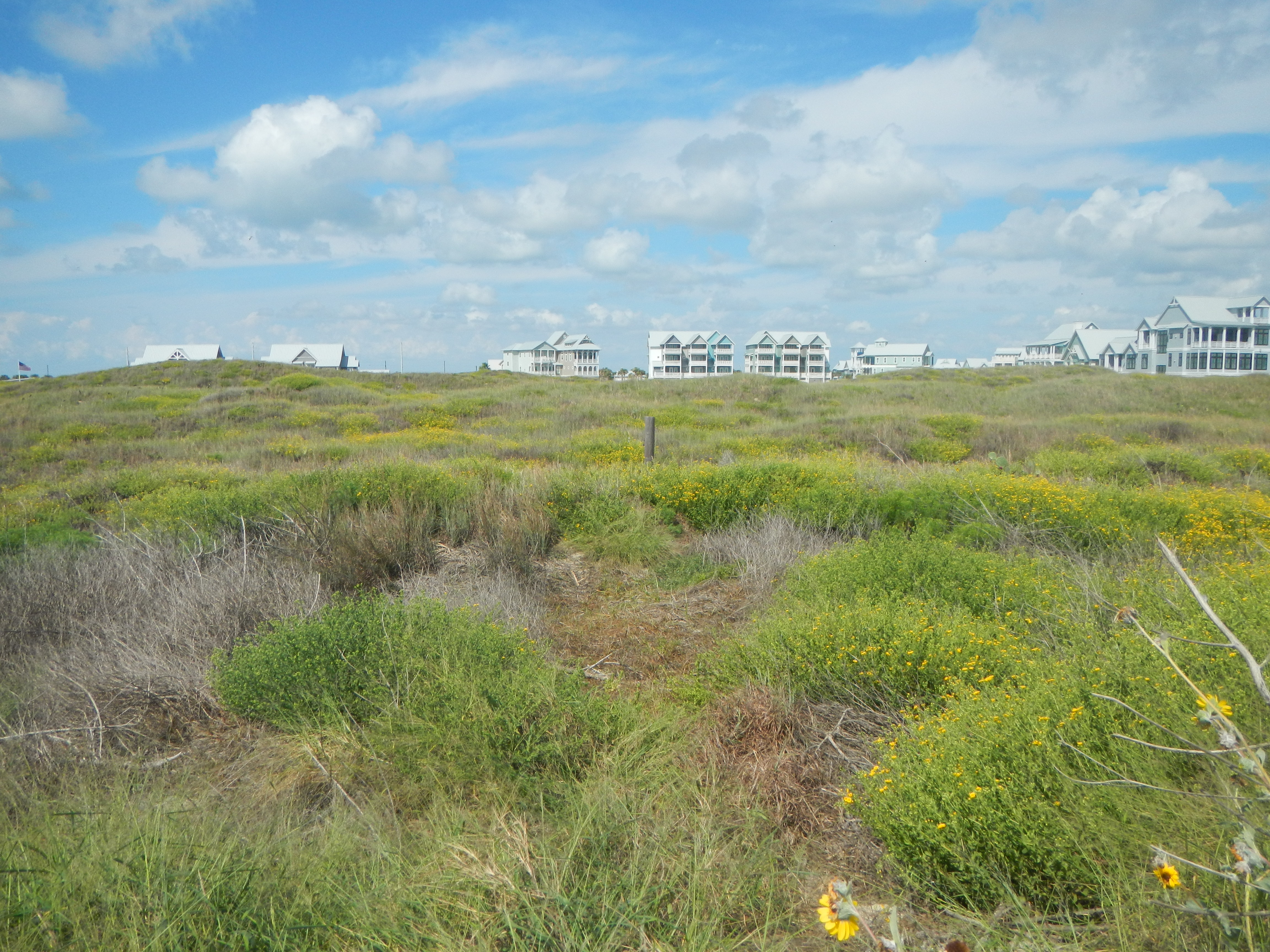 Texas coastline