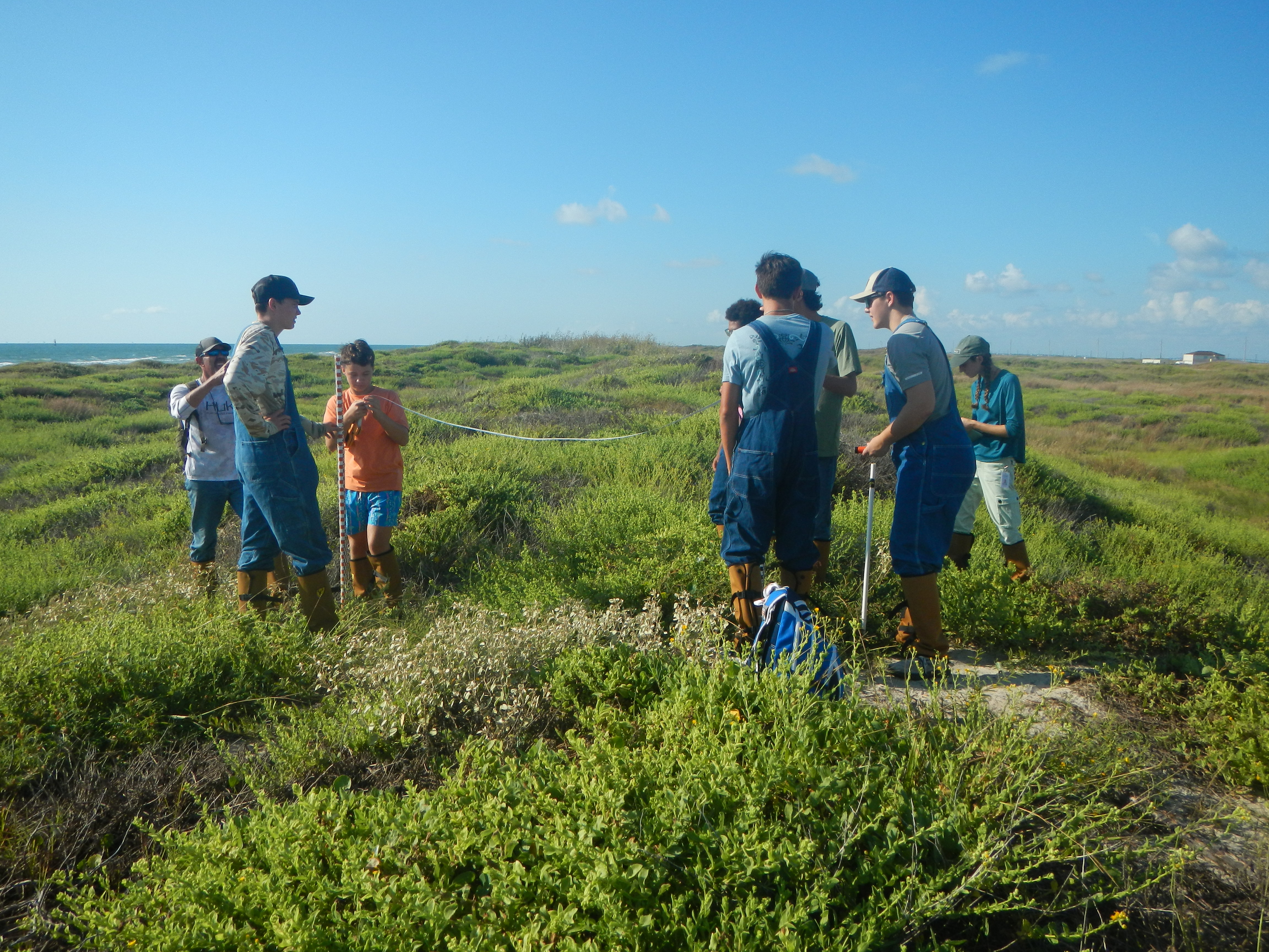 Texas coastline