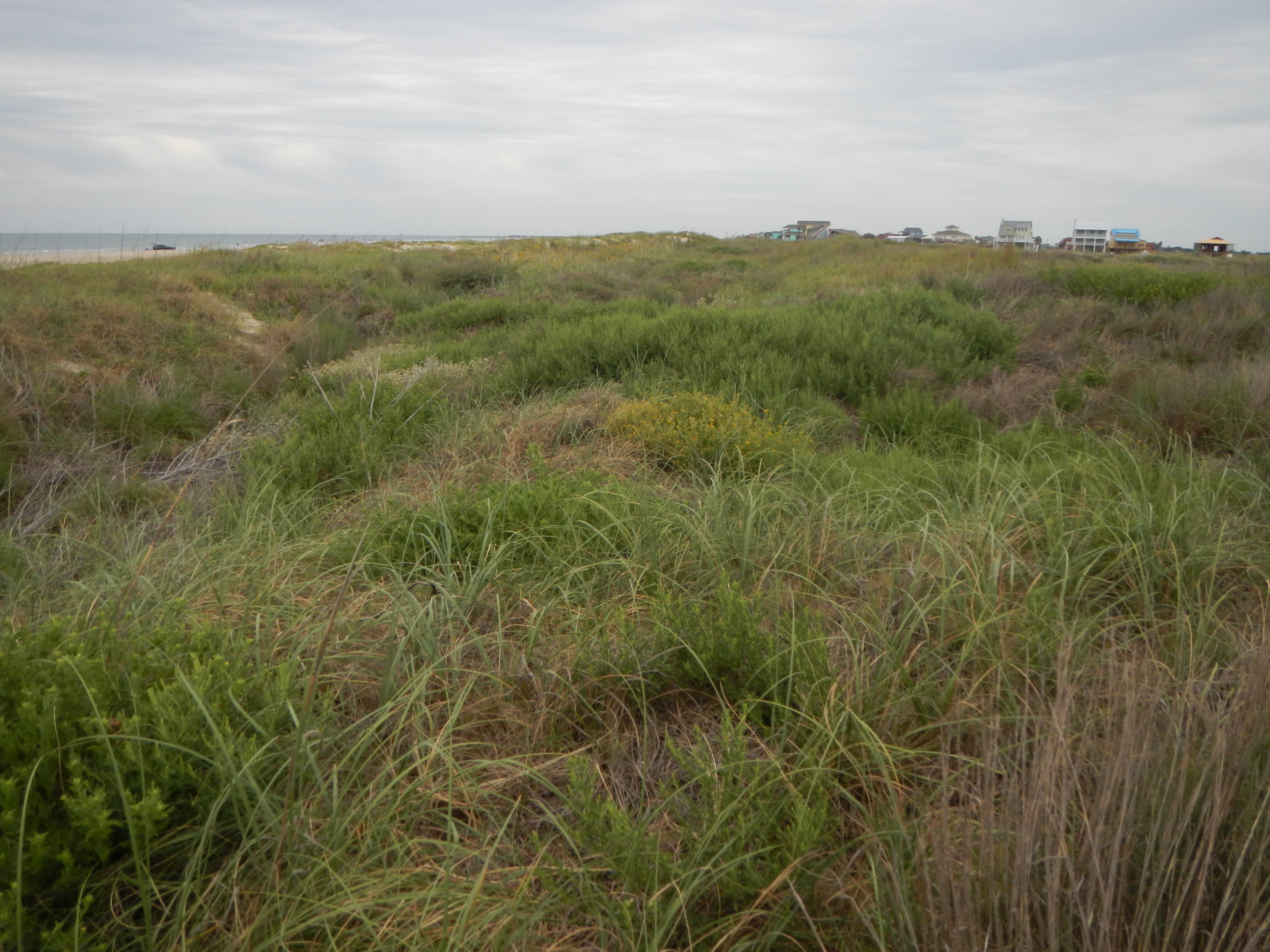 Texas coastline