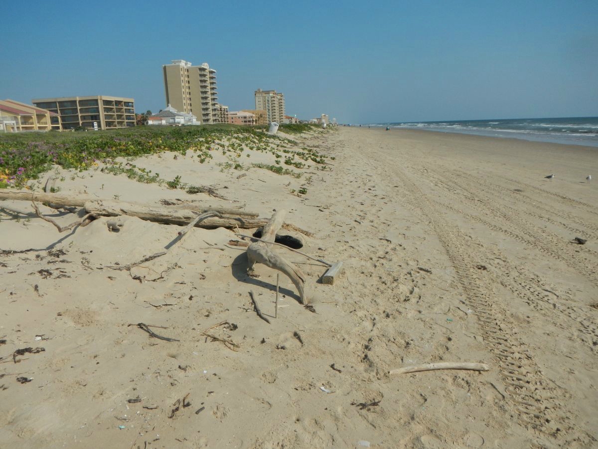 Texas coastline