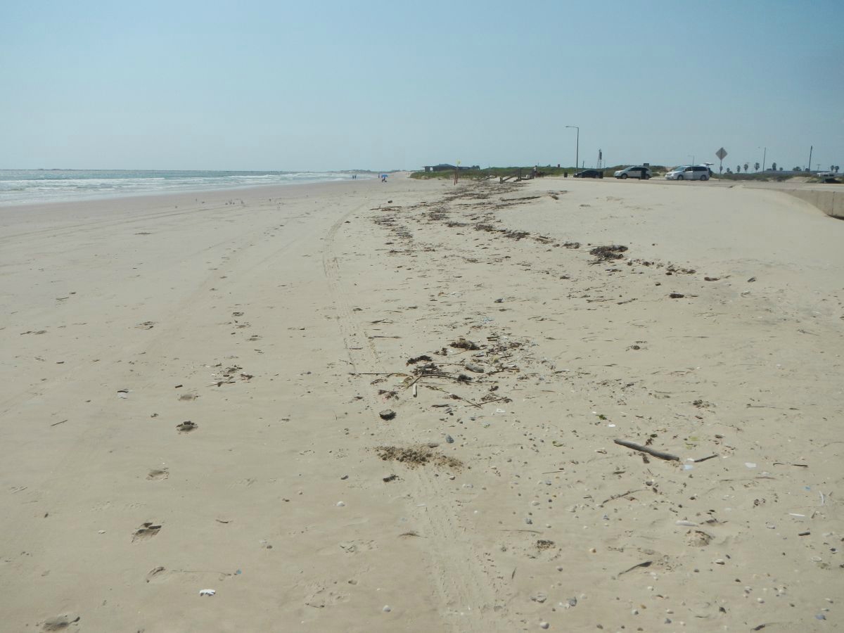 Texas coastline