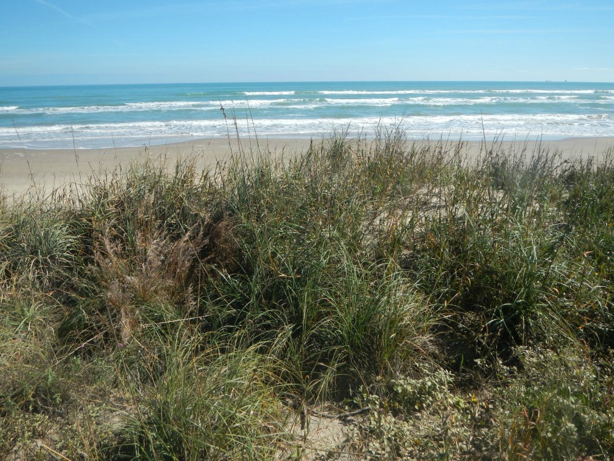 Texas coastline