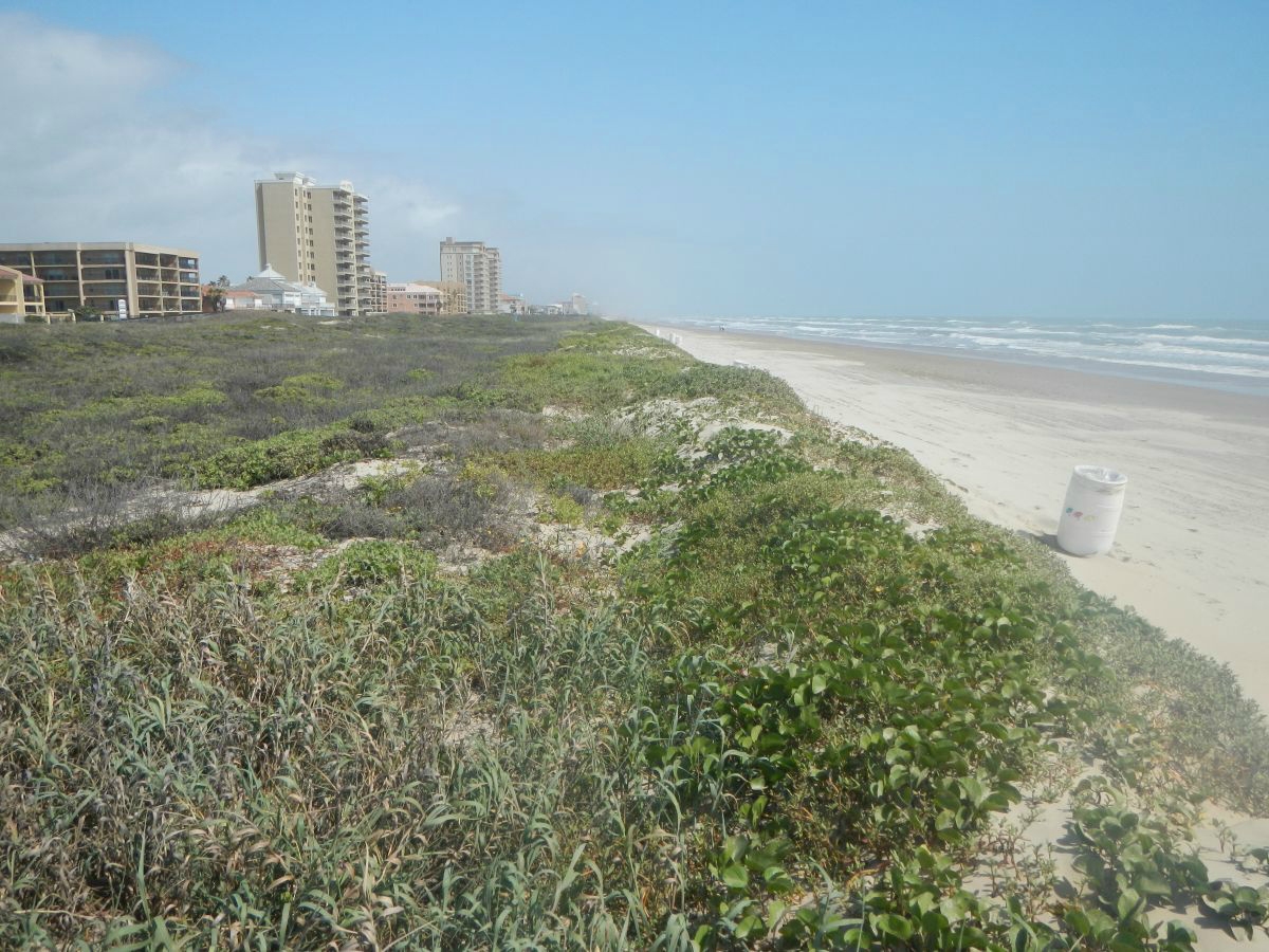 Texas coastline
