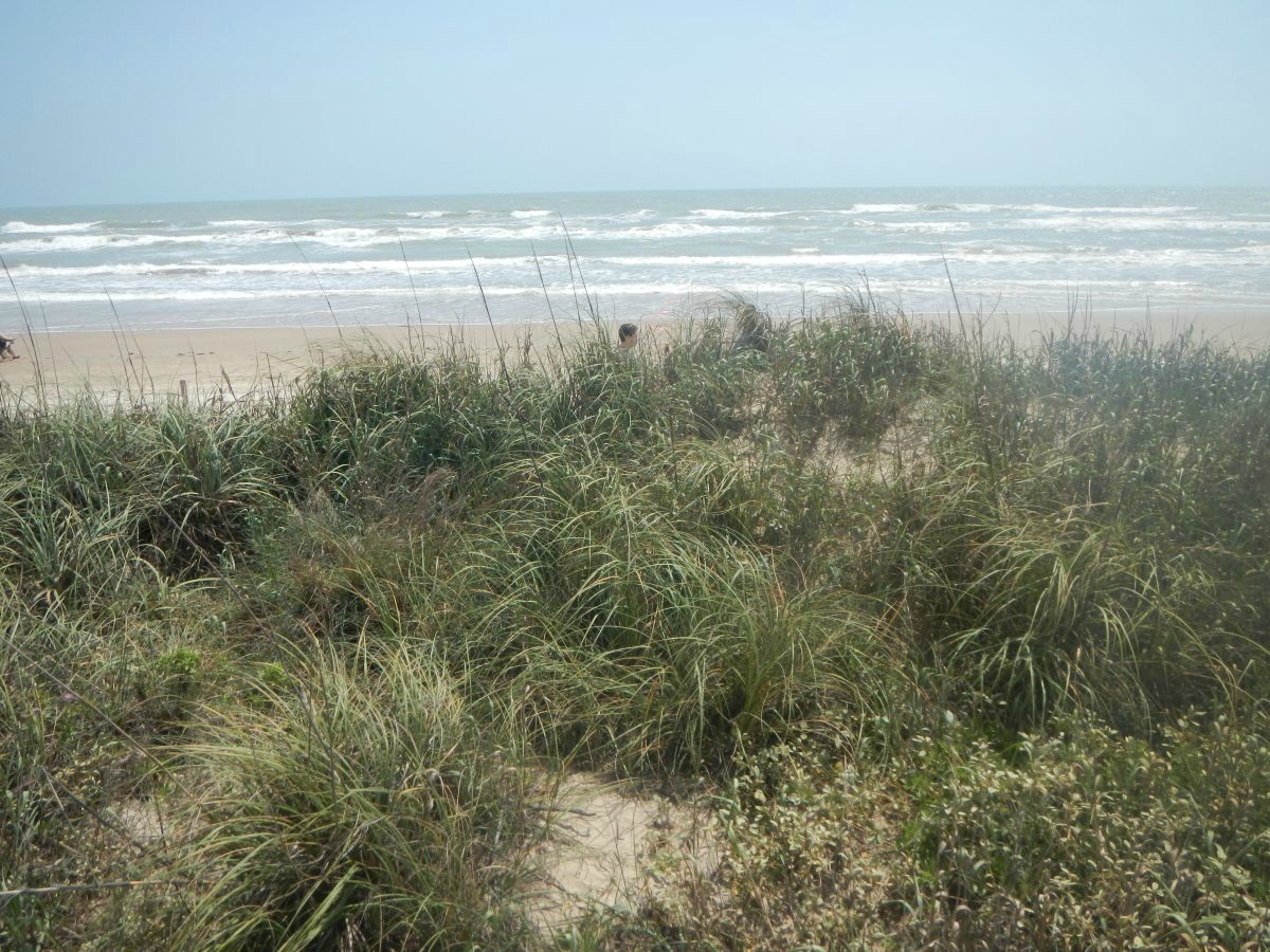 Texas coastline