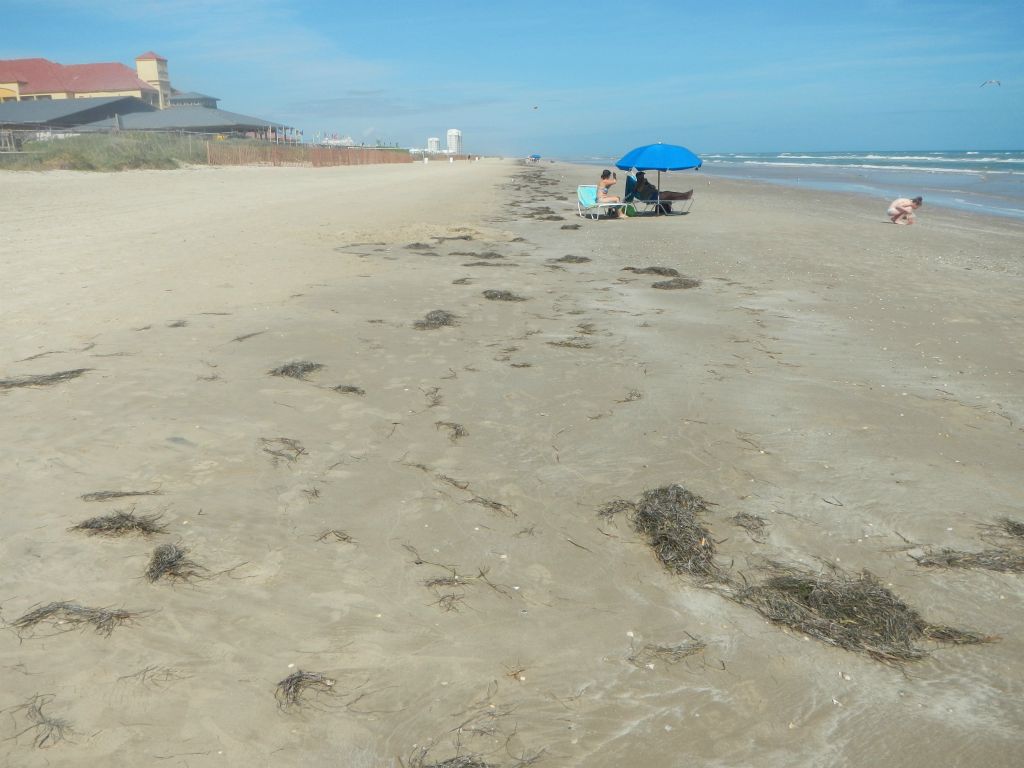 Texas coastline