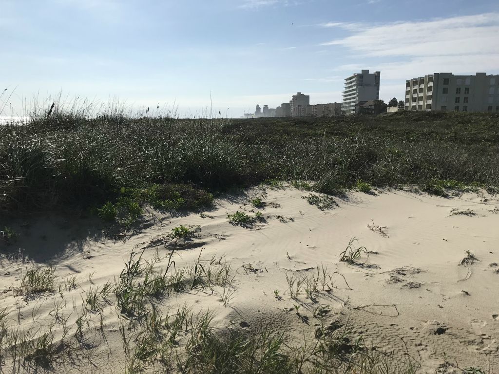 Texas coastline