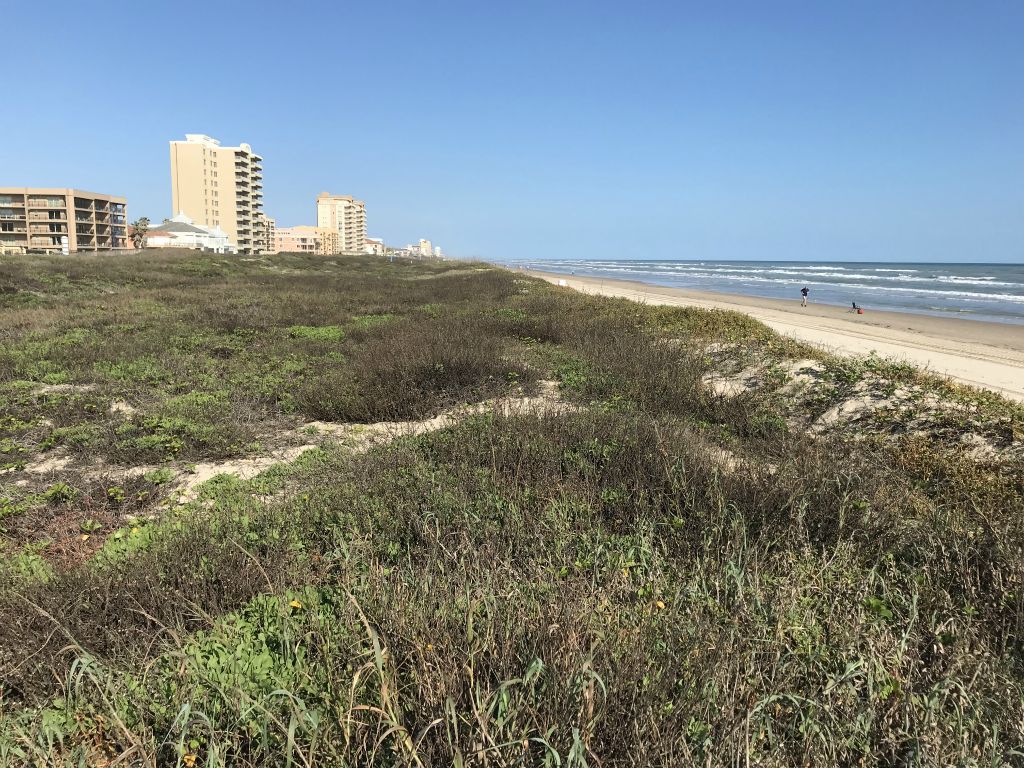 Texas coastline