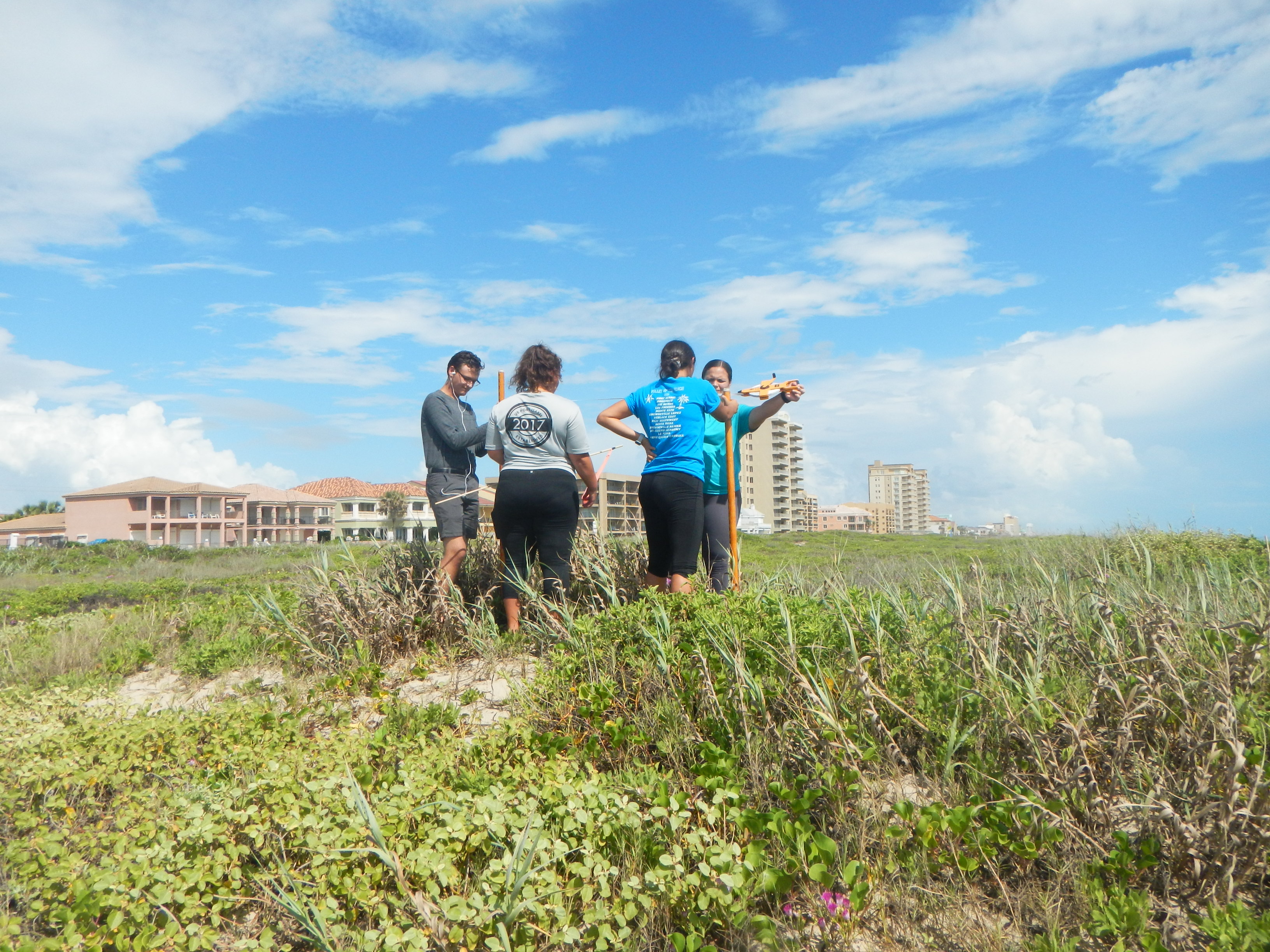 Texas coastline
