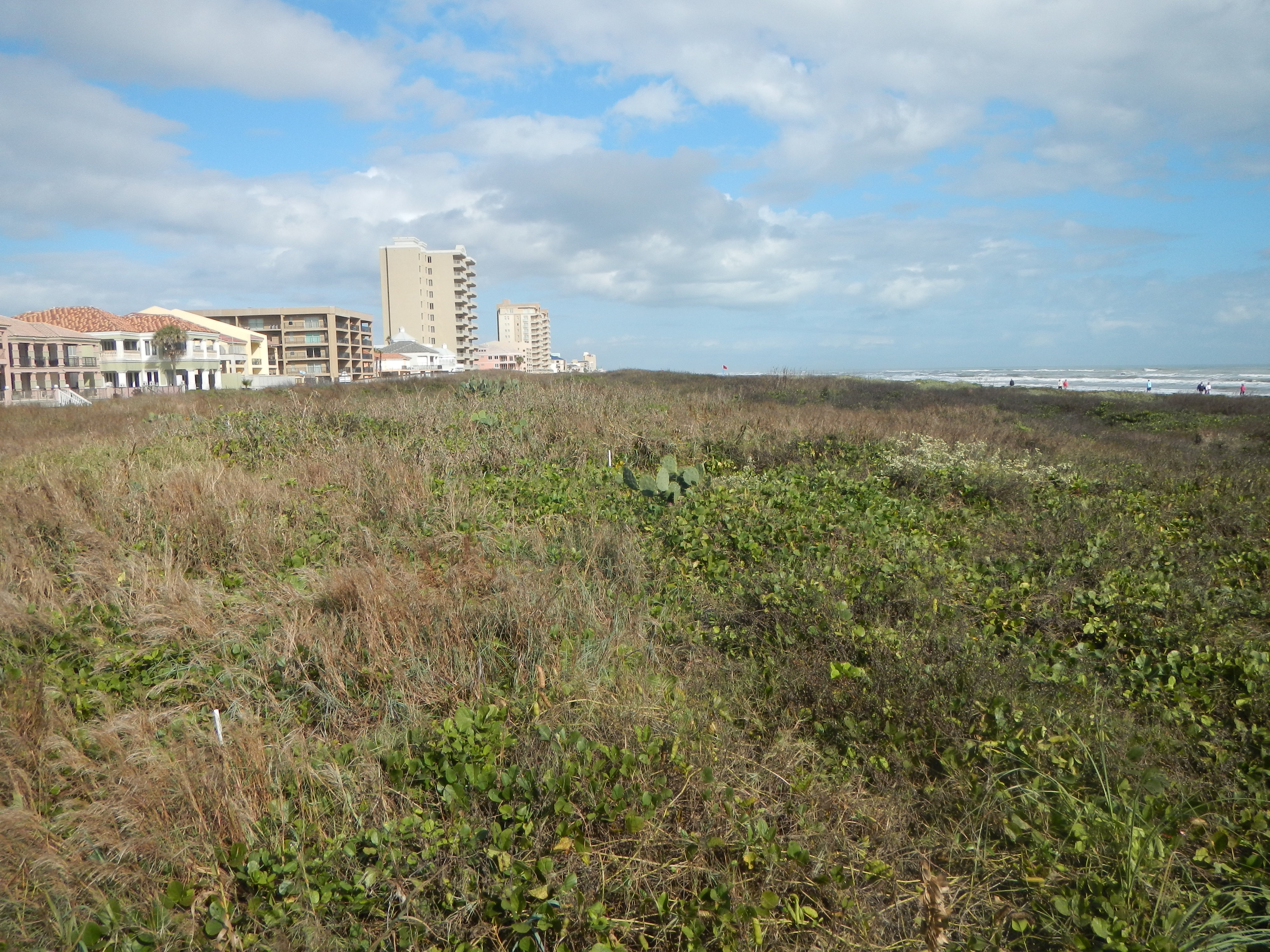 Texas coastline