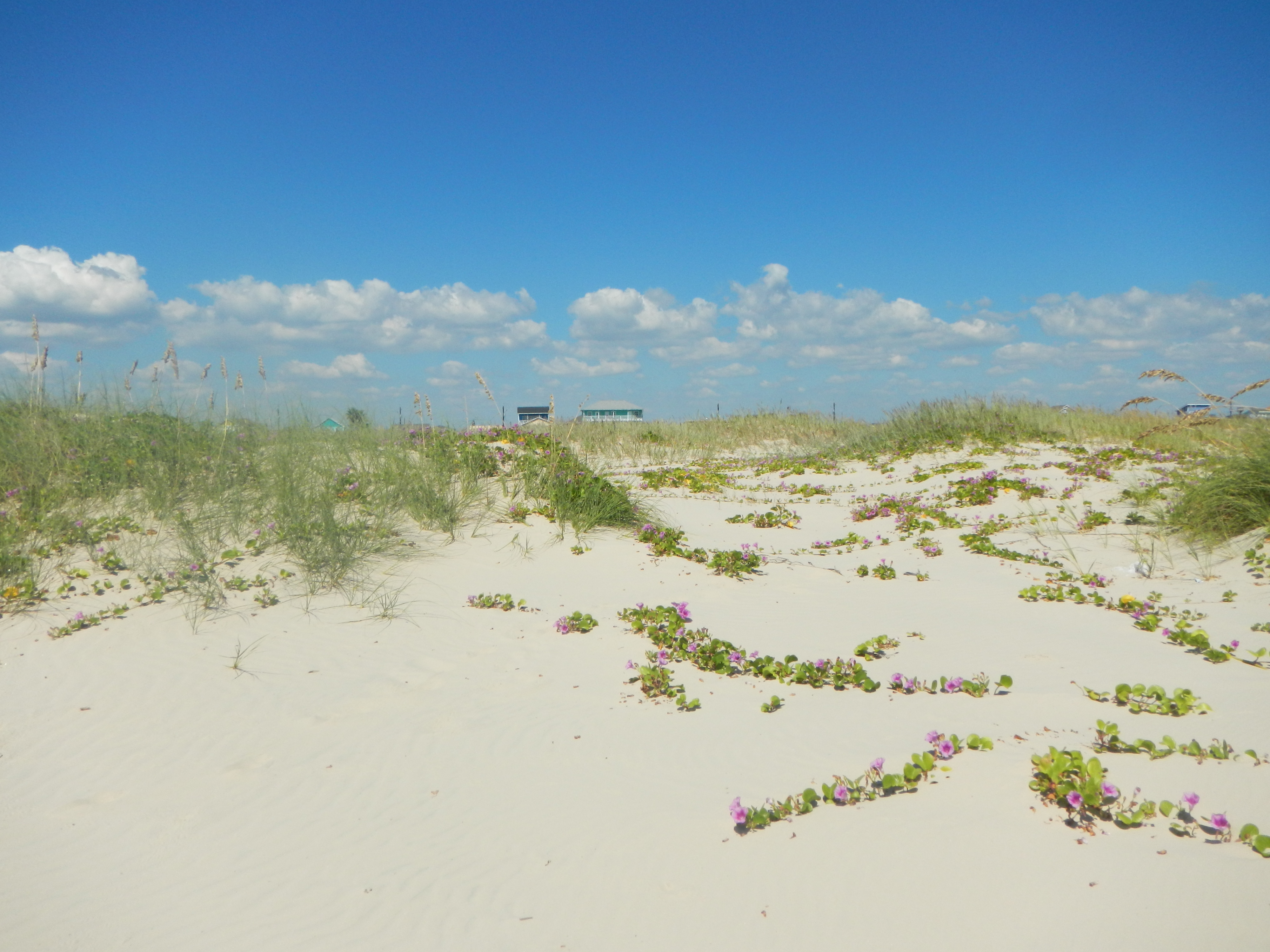 Texas coastline
