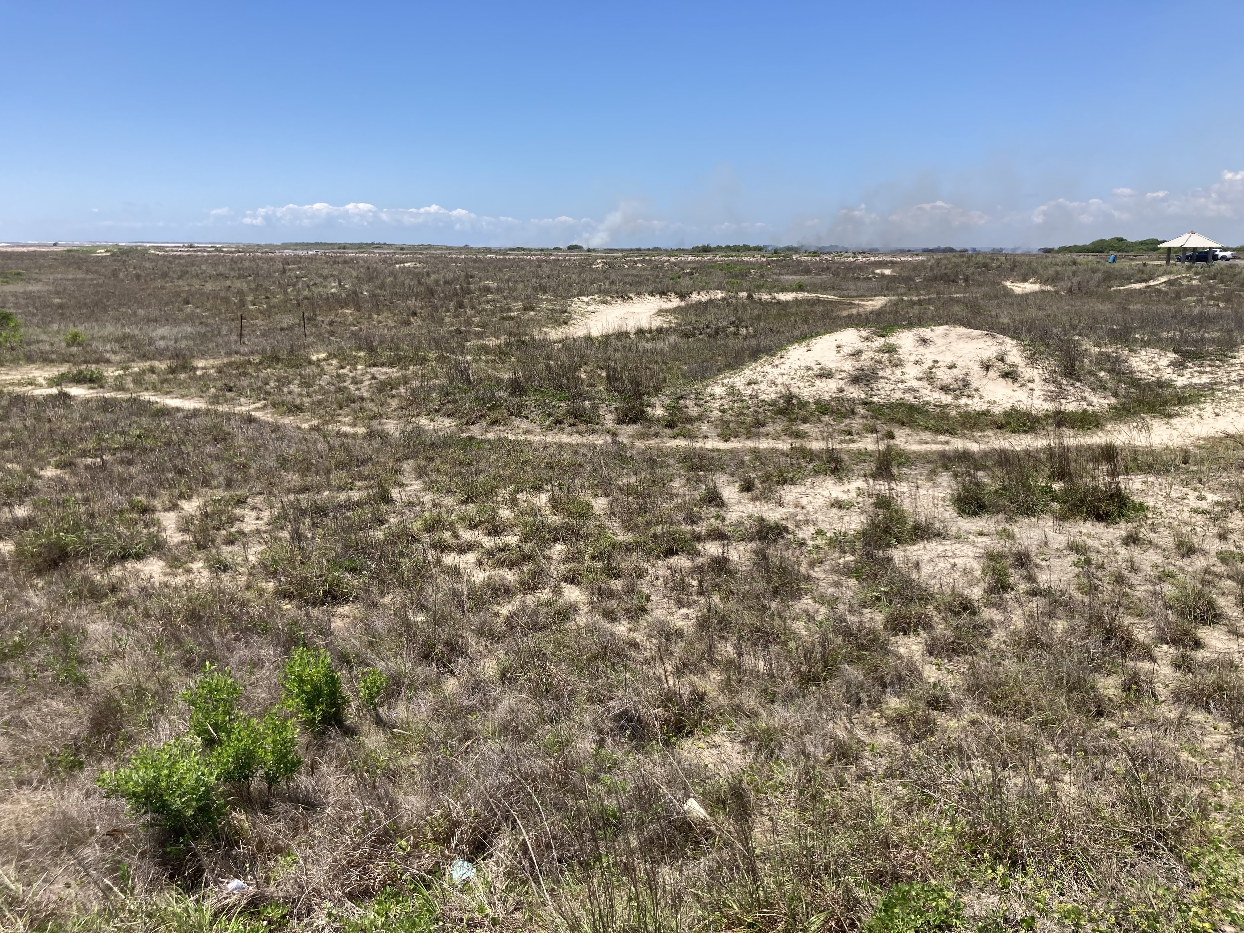 Texas coastline
