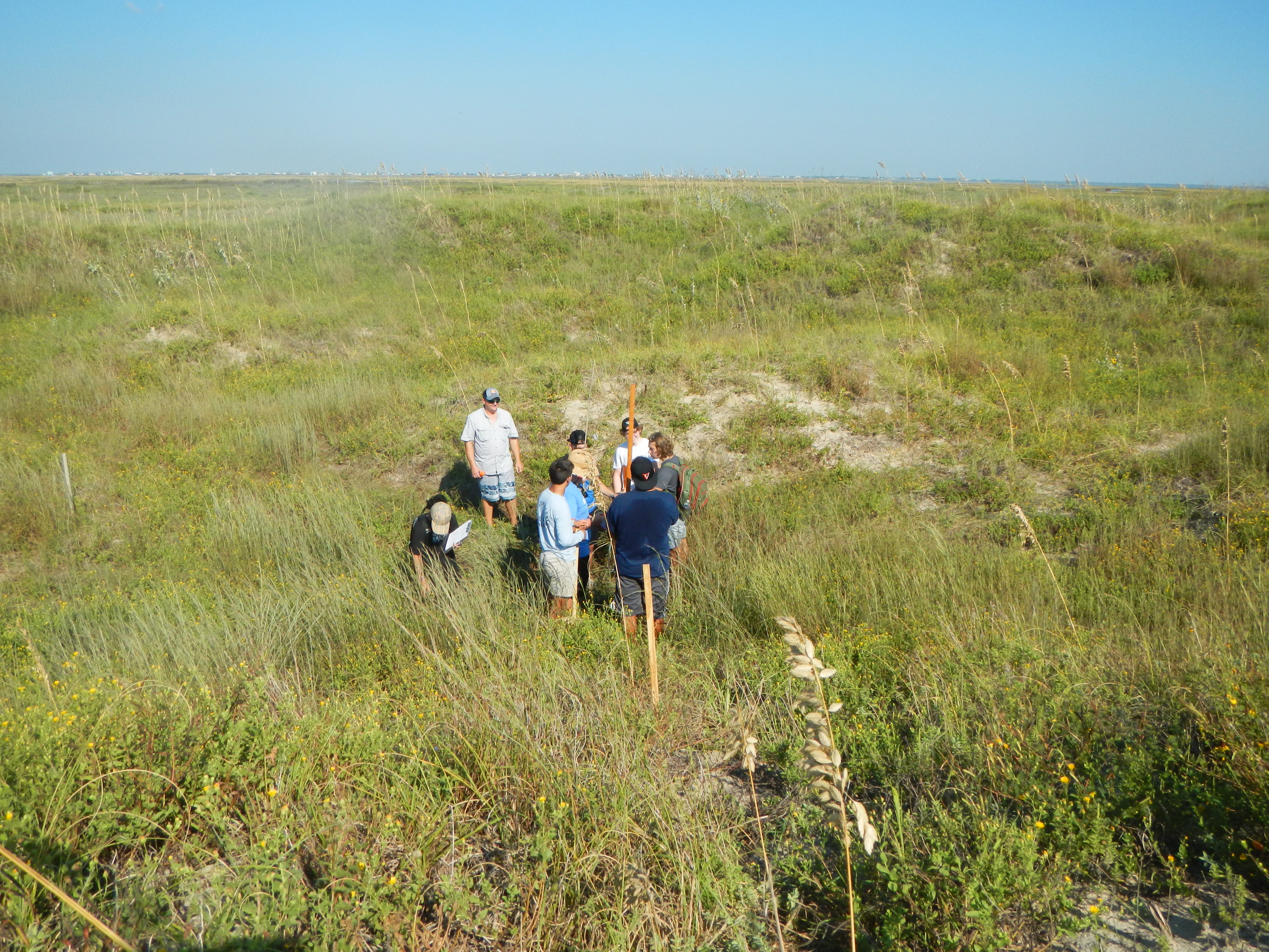 Texas coastline