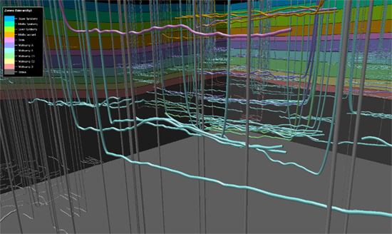 Well trajectories: Midland Basin