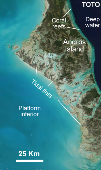 ANDROS ISLAND