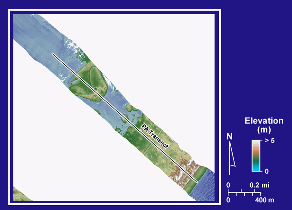 PA transect lidar DEM