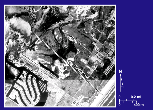 PA transect photomap