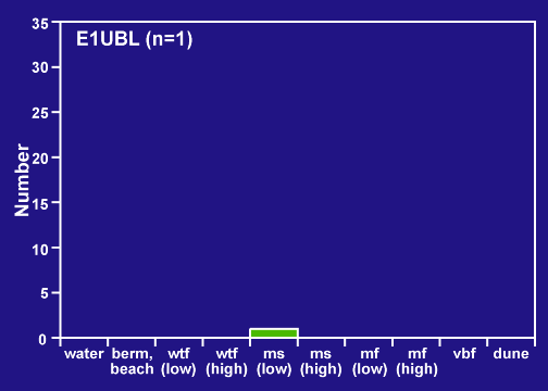 PA E1UBL distribution