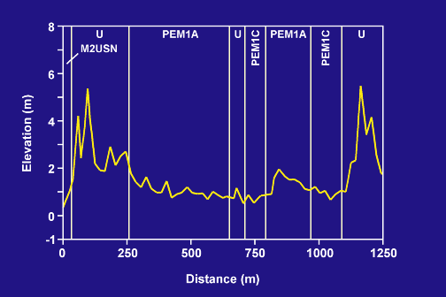 MISP elevation and NWI unit, part a