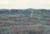 Foredune ridge, MISP