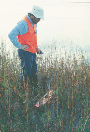 Low Salt-Water Marsh, Mustang Island