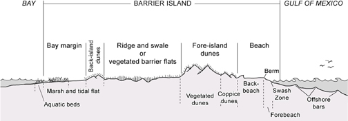Barrier island profile