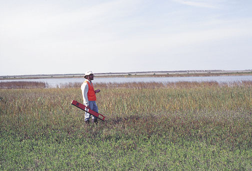 Estuarine water bodies, Port Aransas