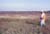 Salt-water marsh, Port Aransas