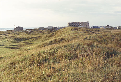 Dune ridge, Port Aransas