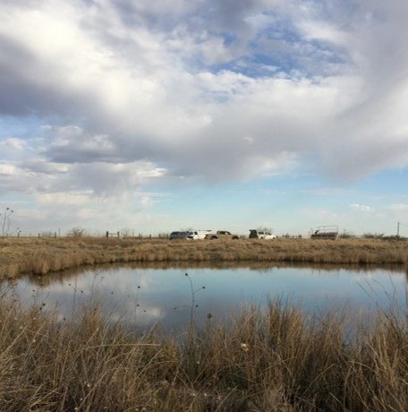 Permian Basin groundwater