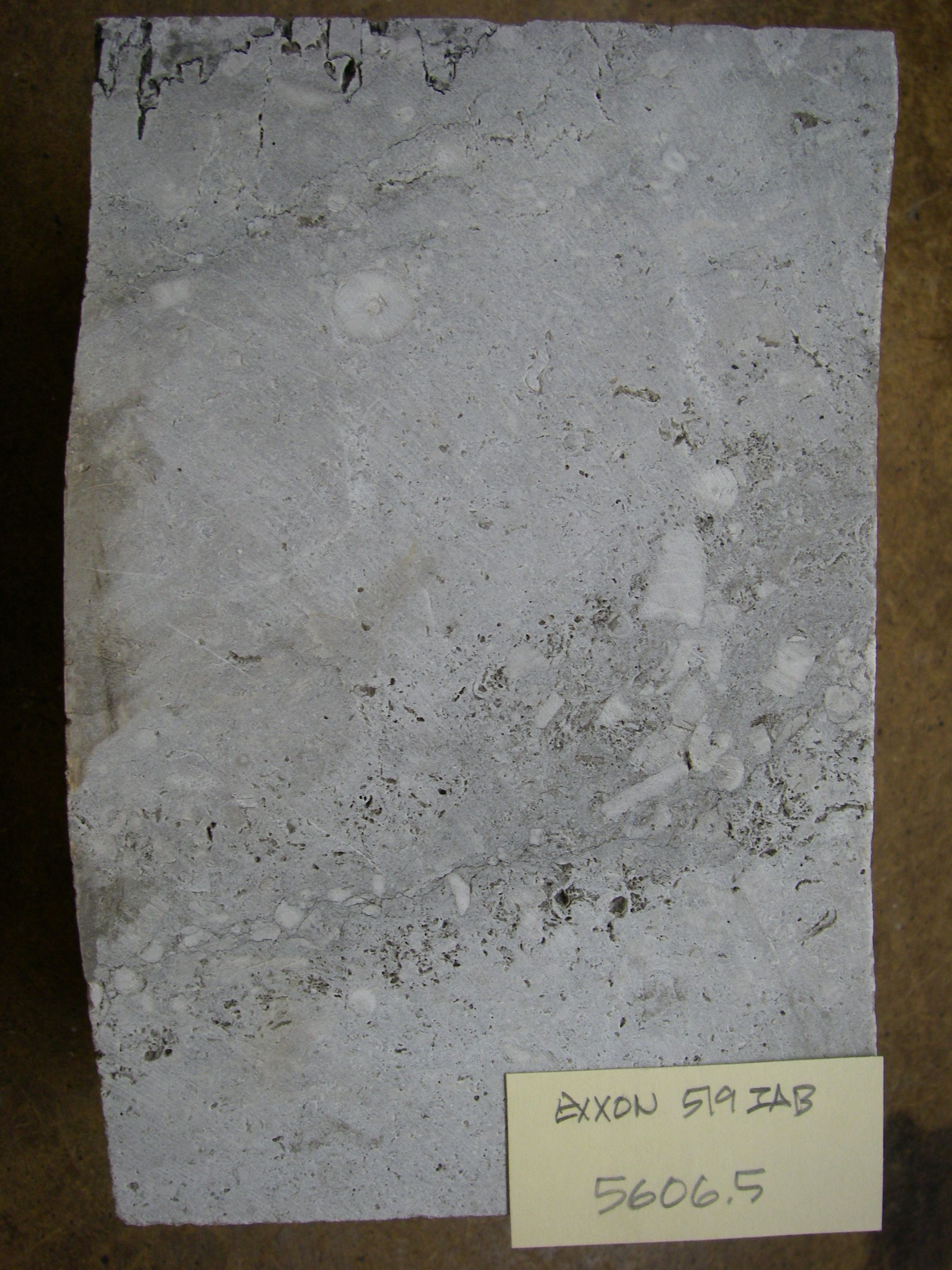 core sample