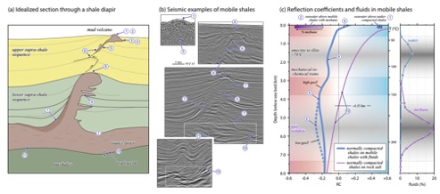 Shale Transformations and Physical Properties—Implications for Seismic Expression of Mobile Shales