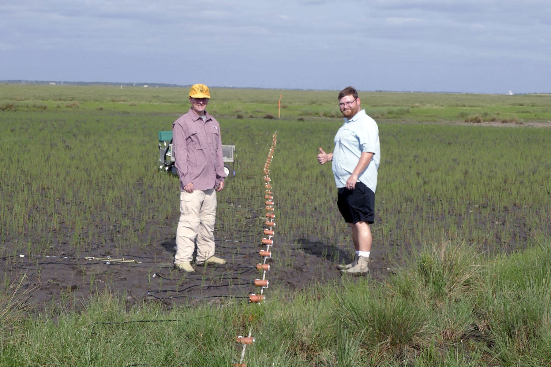 AnySeis geophone array acquiring 2D shear-wave seismic reflection data