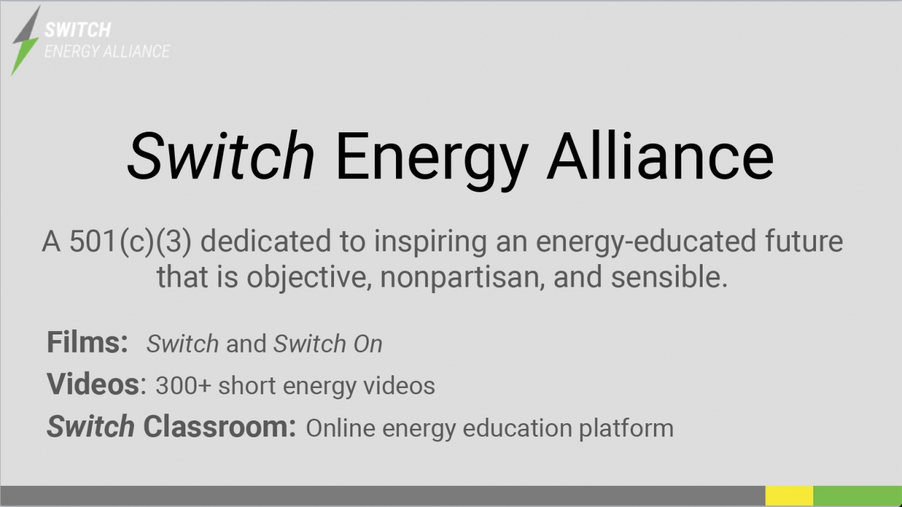 Zoomerama 2020 Switch Energy Alliance infographic