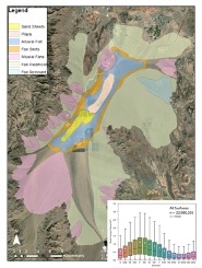 Geomorphic controls on shrub canopy volume and spacing of creosote bush in northern Mojave Desert, USA
