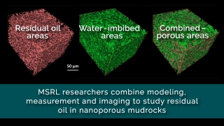 Residual oil in nanoporous mudrocks