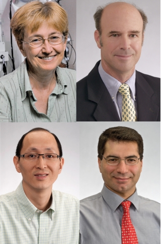Photo collage of honored researchers
