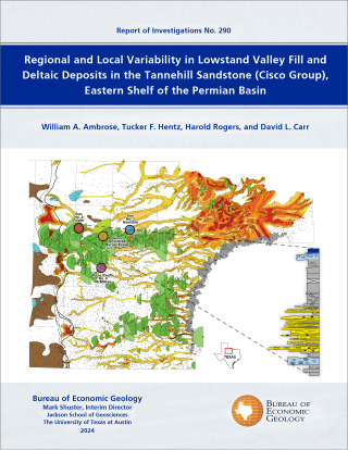Cover of publication
