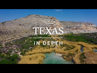 Texas in Depth with Lorena Moscardelli