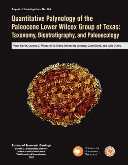 Quantitative palynology of the Paleocene Lower Wilcox Group of Texas: taxonomy, biostratigraphy, and paleoecology