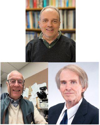 Peter Eichhubl, Robert Loucks, and Bill Ambrose