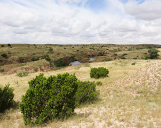 Texas High Plains photo