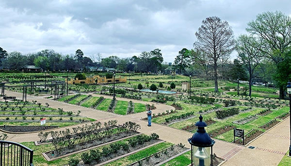 Tyler Rose Garden