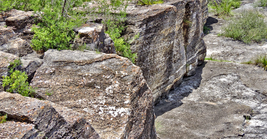 The Great Cretaceous Walk: Flat Out on Flat Rocks